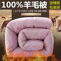 Wool quilt in winter was thickened 10kg 100% pure wool quilt 8kg spring and autumn quilt 6kg single double cashmere cotton quilt core