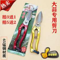 Tian Lao San Garlic scissors cut garlic onion special scissors cut garlic cut Garlic artifact multi-function scissors