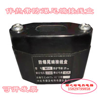Explosion-proof terminal junction box electric heating belt engineering special explosion-proof tail end connector FZH WH
