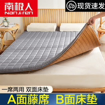 Tatami Summer Ice Silk Cool Mat Mattress Subpadded Student Dorm Room Single Winter Summer Dual-use Folding Thin for Home