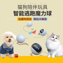 Funny cat dog toy relief artifact smart ball electric pet charging small dog Bai bear Teddy automatic