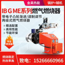 Baide IBGME series electronic cam progressive modulation regulation two-stage burner burning a variety of gas fuels