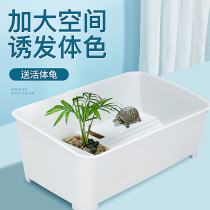 yee tortoise tank with drying platform turtle pot turtle pot plastic water and land tank household turtle special tank small turtle box for household turtle box