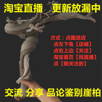 Taihang Mountain cliff cypress wool material aging tumor scar pieces natural root material live studio basin log root carving ornaments