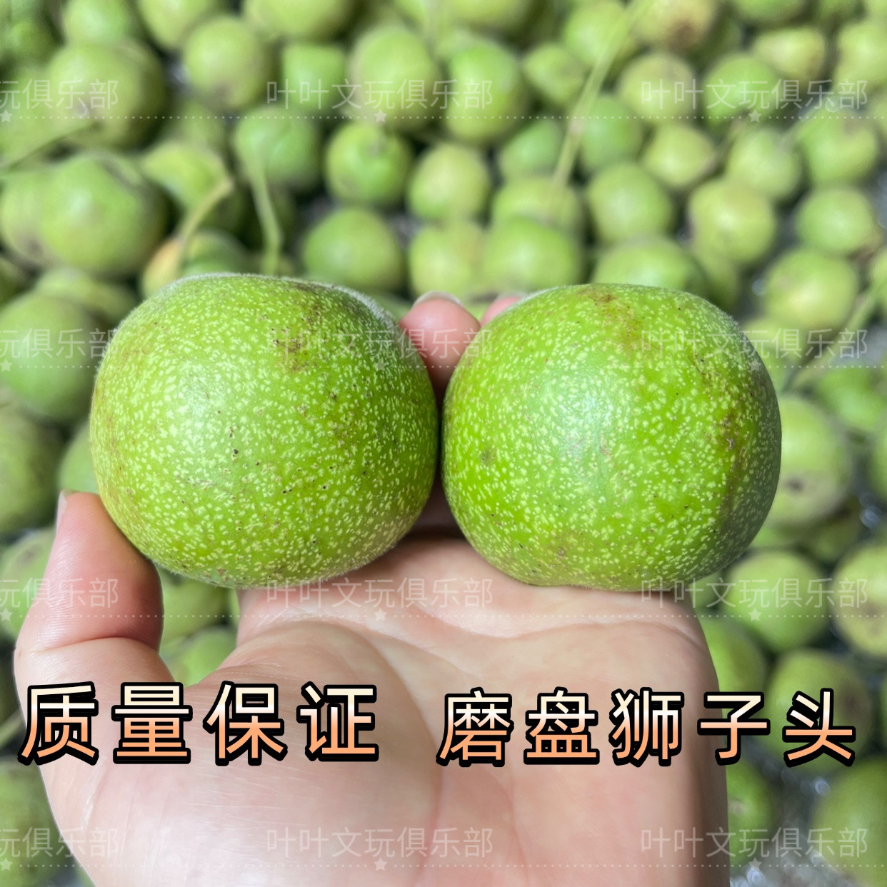 核桃文玩蛤蟆头-核桃文玩蛤蟆头促销价格、核桃文玩蛤蟆头品牌- 淘宝