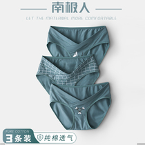 Antarctic pregnant women underwear cotton women in the middle and late pregnancy