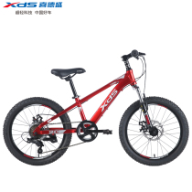 Xidesheng bicycle Chinese style Youth childrens mountain off-road bicycle lightweight male and female students variable speed racing