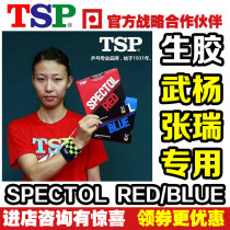 (Table tennis net) TSP SPECTOL RED BLUE raw rubber particles table tennis racket rubber 2009220102