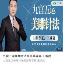 Wang Weixun Nine Palace Five Yunmei Sculpture Needle Facial Beauty Facial Analysis Acne Freckle High and Low Eyebrow