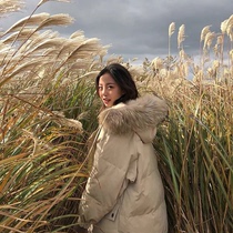 Cotton-padded women 2021 new winter explosions cotton-padded jacket ins Hong Kong style Korean version of loose students cotton-padded clothes oversize tide