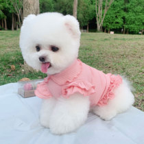 Rice family pet clothes cotton wrinkled lace doll collar Princess dress than Bear Cat dog clothes summer thin