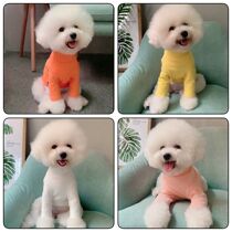 Pet clothes autumn and winter new pure cotton multi-color basic bottoming teddy bear dog inner tie bottoming shirt clothes