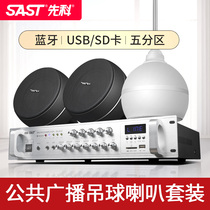 SAST chenko S5-2 hanging ball sound chamber Bluetooth background music hanging top loudspeaker suit ceiling power amplifier