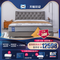 Sealy silk leather bed frame Star language bedroom double bed frame 1 8m1 5M simple modern