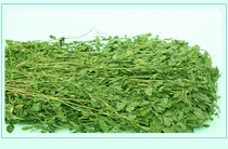 2021 new pint drying purple flower clover grass dried grass fresh rabbit Dutch pig dragon cat guinea pig herd fur heavy 1KG