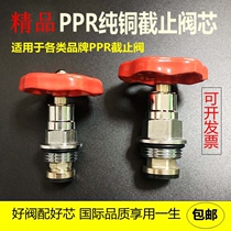Rifeng same PPR globe valve spool PE valve core lift copper spool switch accessories plumbing pipe fittings