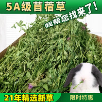 (New grass) dried alfalfa rabbit ChinChin food Alfalfa Hay Hay Dutch pig pasture grain gross weight 1KG