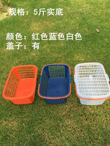 Factory direct square plastic portable picking basket with lid Strawberry Basket Cherry grape basket disposable basket