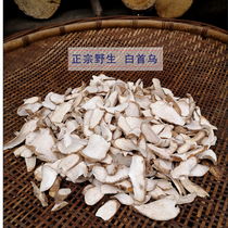 Xiangxi wild white Shouwu Chinese herbal medicine across the mountain root block block across the mountain shovel pry cowhide to eliminate fresh Polygonum multiflorum tea