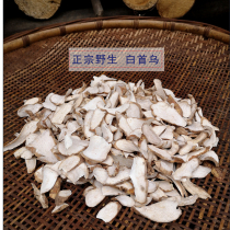 Xiangxi wild white Shouwu Chinese herbal medicine across the mountain root block block across the mountain shovel pry cowhide to eliminate fresh Polygonum multiflorum tea