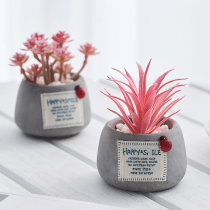 Nordic ins wind simulation plant green plant small potted ornament creative desktop mini fake succulent cute decoration