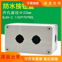 Shanghai Tianyi two-position button box TYX2 TYX2S TYX2Y waterproof box