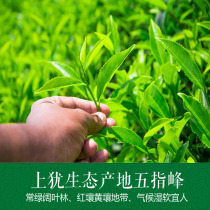 Green tea tea premium Gannan five-finger peak Mao Jian Mingqian New tea alpine cloud sprouts handmade bulk 200 grams