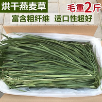 2021 new drying oatmeal straw dry grass can be substituted for drying TiMoses grass rabbit grass dragon cat Dutch pig herding grass