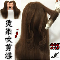 Full real hair head model head can be rolled hair doll head practice plate Hair make-up teaching head Dummy head model