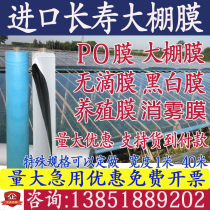 Imported greenhouse film anti-fog PO planting vegetables strawberry no drop film plastic film sunscreen thickening culture black and white film