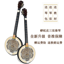 Qinqin musical instrument Yuanqin three-stringed piano mang snakeskin folk plucked instrument accompaniment National musical instrument accessories Piano bag Sanxuan