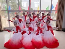 Atmospheric Opening Dance Large Pendulum Skirt Modern Dance Light Fire in China Red Dance Costume Out of a Fluey Chorus Suit
