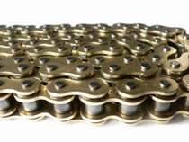 Spot Qianjiang new product 420 oil seal gold chain motorcycle with small monkey factory warranty for one year