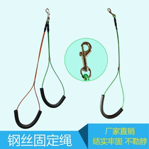 Pet beauty table sling home dog beauty table fixed rope boom bracket steel wire lanyard cat and dog Universal