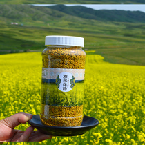 Xinjiang Plateau edible rape pollen 500g natural no-added pure bee pollen buy 5 Get 1