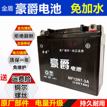 12n7-4a motorcycle battery 12V battery 7ah Diamond leopard 125 universal Longxin 150 Suzuki dry battery