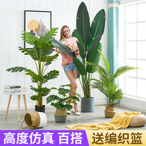 Nordic simulation green plant large living room indoor fake flower ins Wind bionic plant decoration traveler Coke potted ornaments