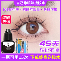 Self-eyed grafting eyelash glue pregnant woman available vaccinated false eye eyelash glue without irritating allergy