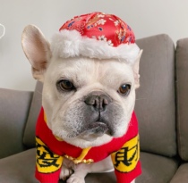 Fadou hat hat pet dog hat dog Chinese New Year Tang suit hat photo props accessories