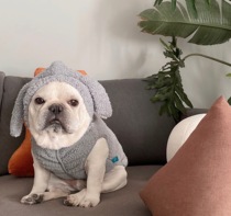 Fadou hat hat pet dog hat autumn winter dog hat headdress photo props