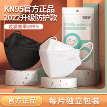 n95 mask 3d Cubic 2021 new stylish version kn95 liuleaf type disposable male tide woman high face value