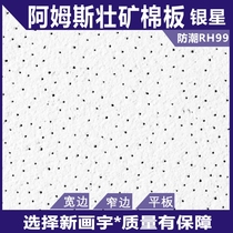 Armstrong Silver Star elegant pinhole mineral wool board 600*600*16 office contractor package material ceiling sound-absorbing board