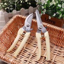 Captains home gardening branch scissors Cut fruit picking flowers and trees pruning pruning shears tools Floral curved mouth knife