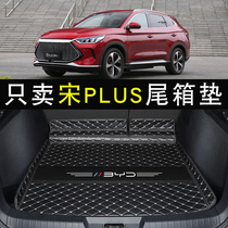 BYD Song plusdmi Trunk plusev Back Tail Pad Song plus Modified Car Supplies