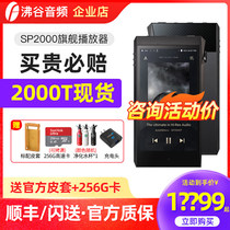 China Spot Iriver Ellie and AK SP2000T SP2K flagship hifi audio player SP2000