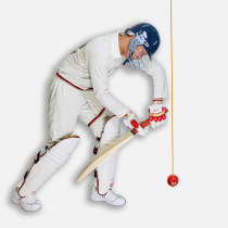 Lei Le Cricket lob batting training cricketbattingTetherballhardball A variety of exercises