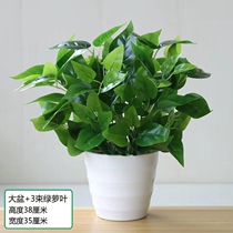 Simulation plant fake green plant simulation flower ornament Internet cafe living room bedroom hotel club plastic decoration green dill potted plant