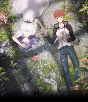 Fate stay night Heavens Feel Theater version 1-3 full version DVD