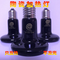 Different pet snail house ceramic heating lamp tortoise lizard spider crawling box pet snake hedgehog reptile box heat preservation lamp