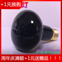 Reptile night light imitation moon light lizard tortoise lamp lizard tortoise box high quality night heating night light